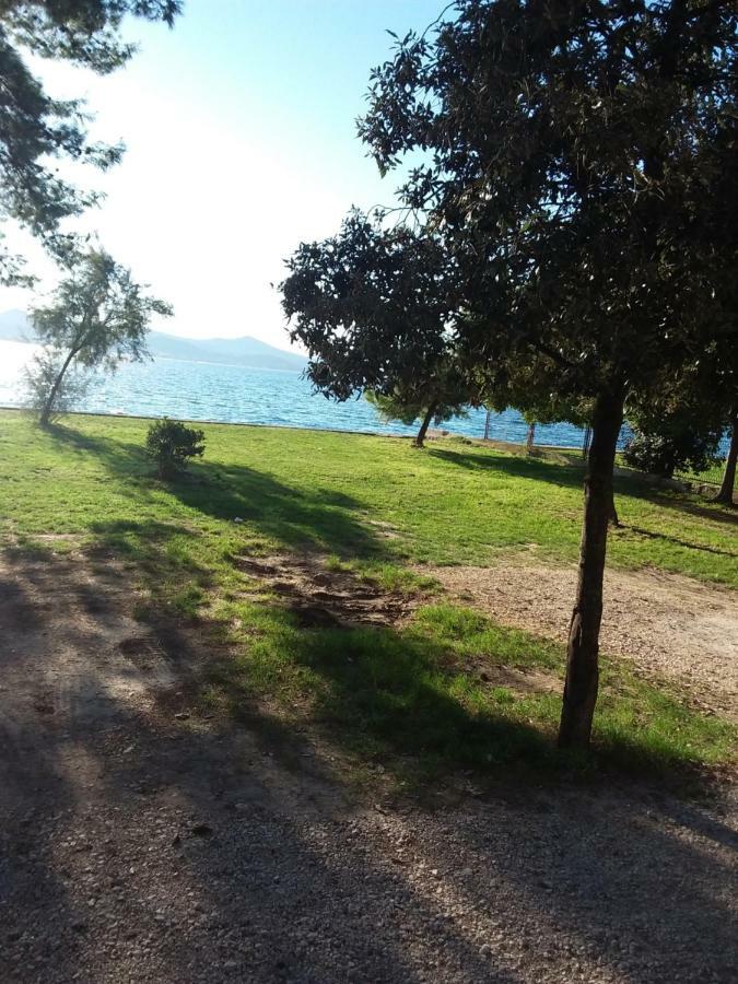 Appartement Jazine1 à Zadar Extérieur photo